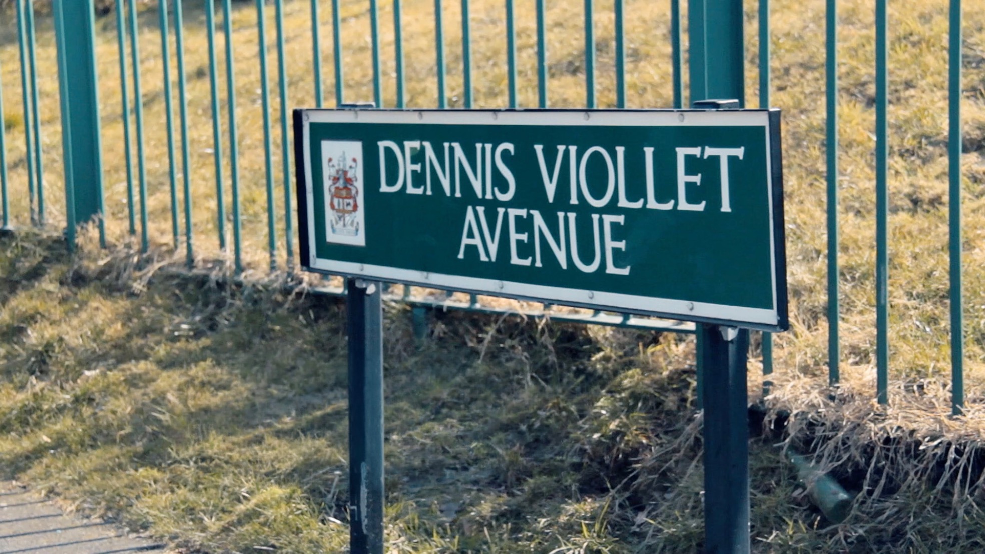 Dennis Viollet: A United Man still 12